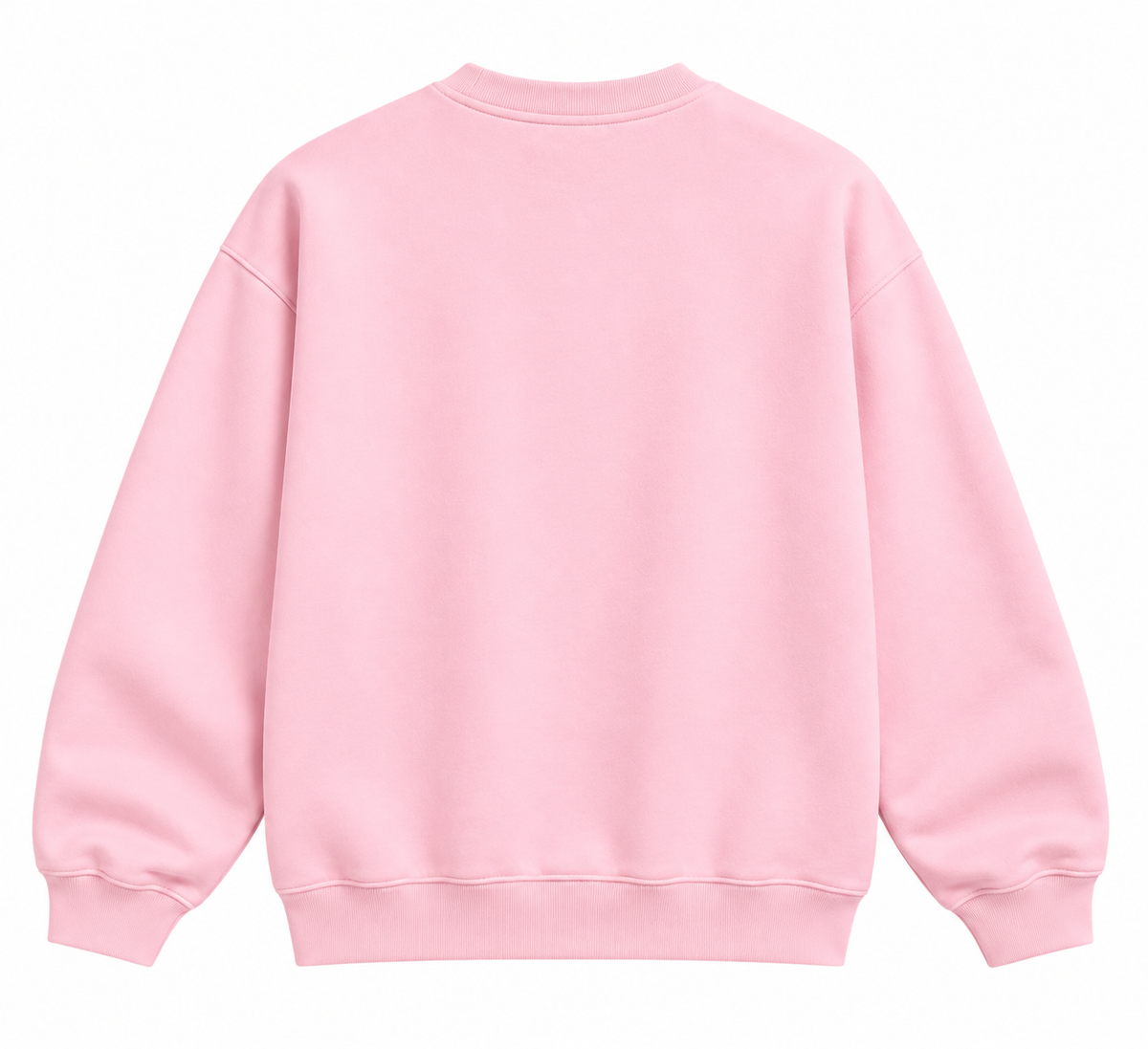 Heavyweight Embroidered Sweatshirt — Baby Pink