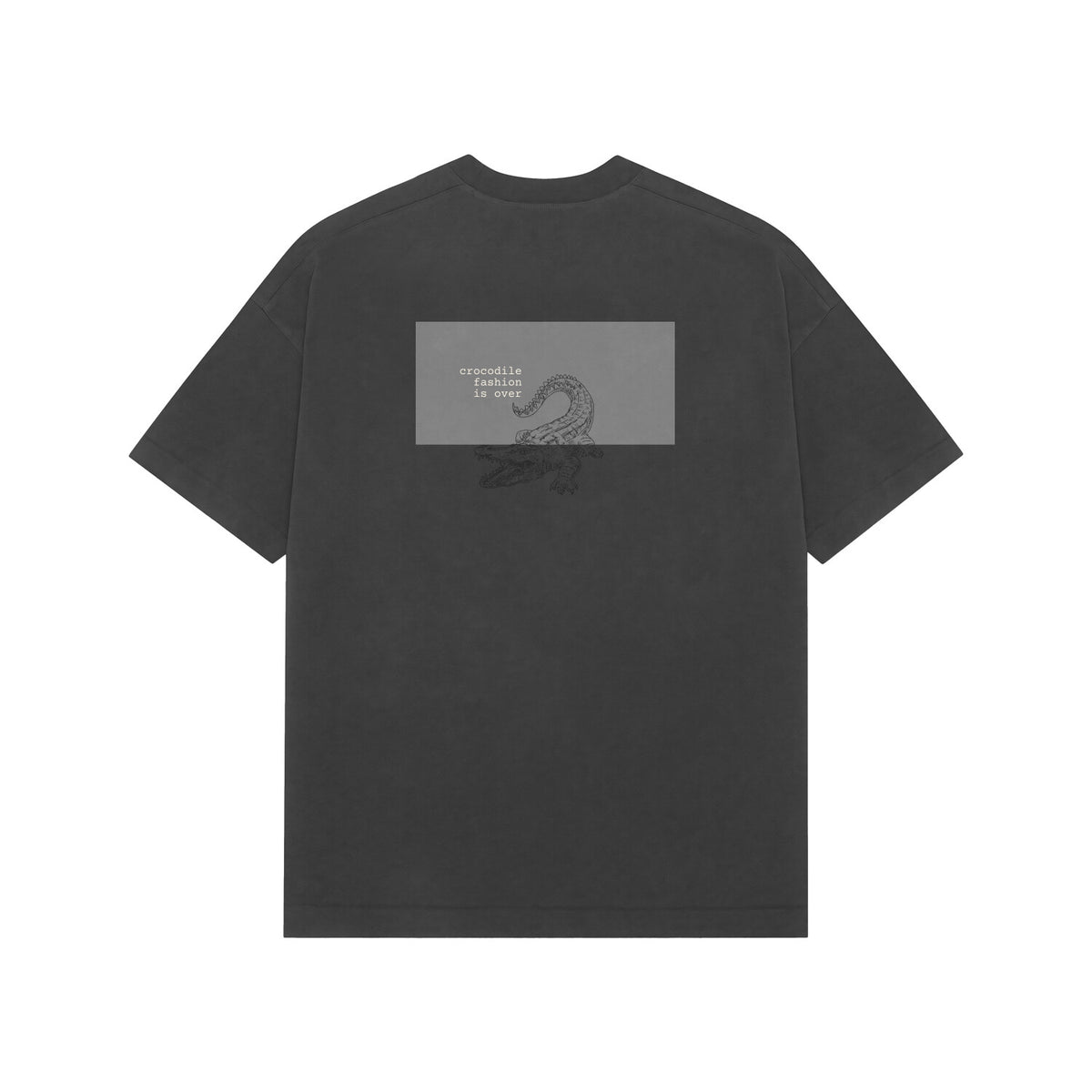 Back View - 6236065